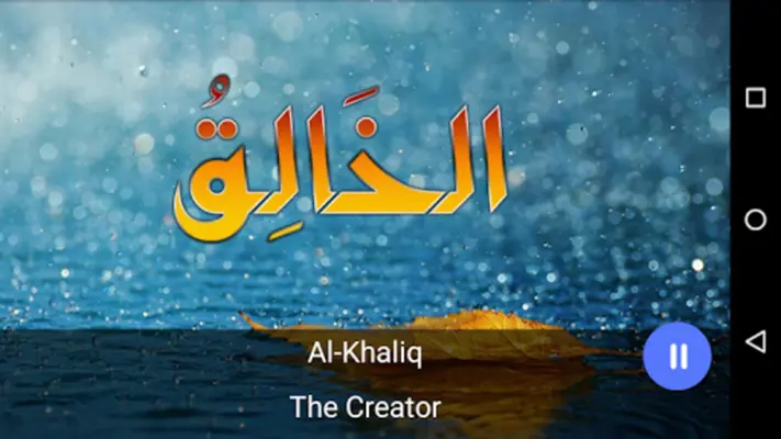 Allah Names with Audio Offline, Wazaif & Wird android App screenshot 0